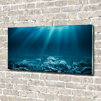 Glass picture wall art Underwater world