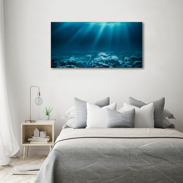 Glass picture wall art Underwater world