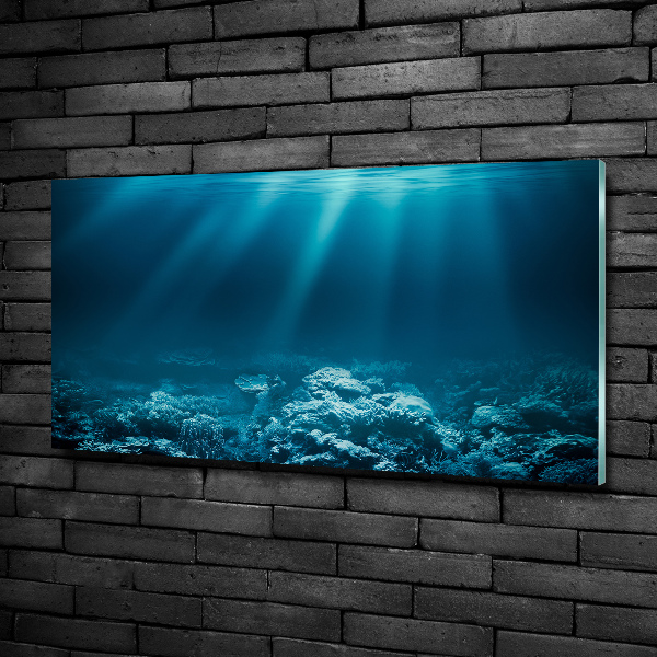 Glass picture wall art Underwater world