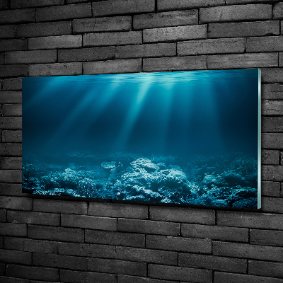 Glass picture wall art Underwater world