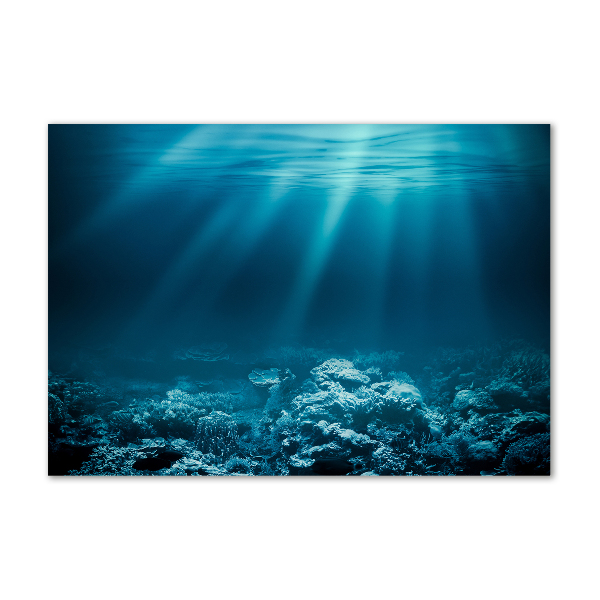 Glass picture wall art Underwater world