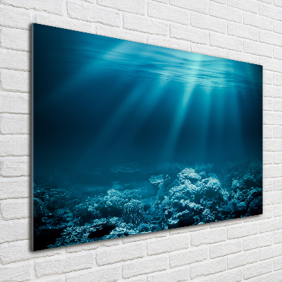 Glass picture wall art Underwater world