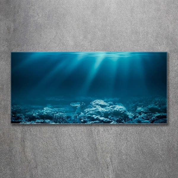 Glass picture wall art Underwater world