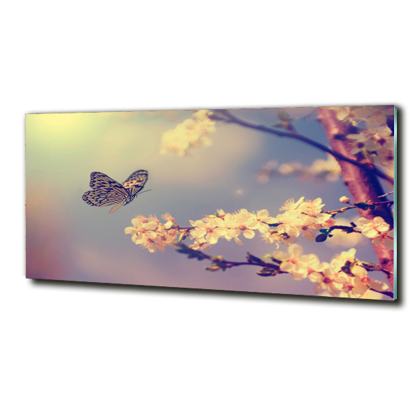 Glass art picture Cherry flower and butterfly