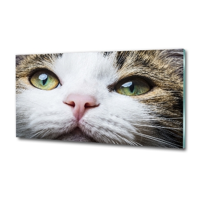 Wall art on glass Green cat eyes