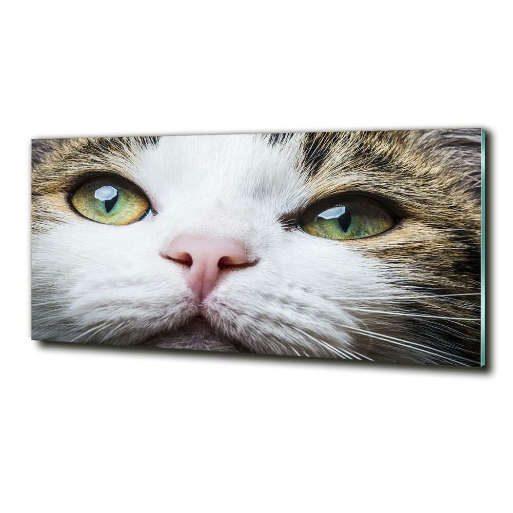 Wall art on glass Green cat eyes