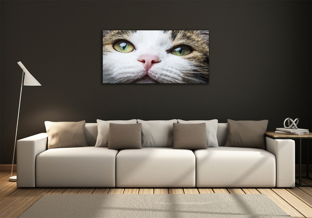 Wall art on glass Green cat eyes