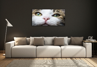 Wall art on glass Green cat eyes