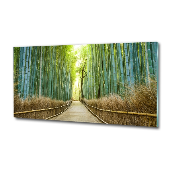 Glass picture wall art Bamboo forest