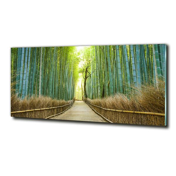 Glass picture wall art Bamboo forest