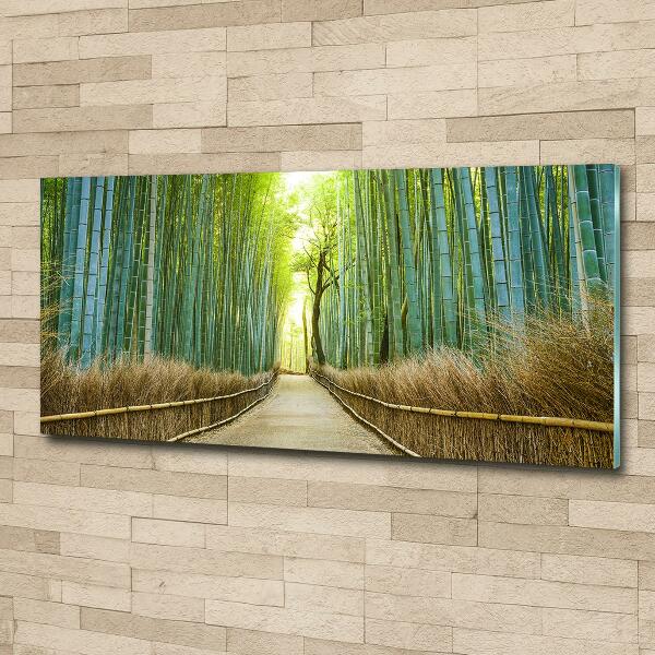 Glass picture wall art Bamboo forest