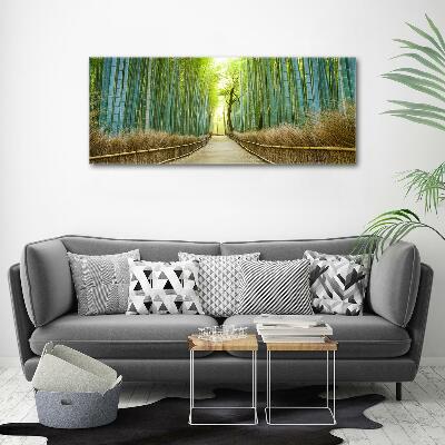 Glass picture wall art Bamboo forest