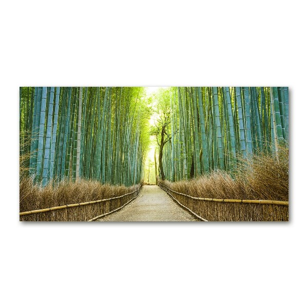 Glass picture wall art Bamboo forest