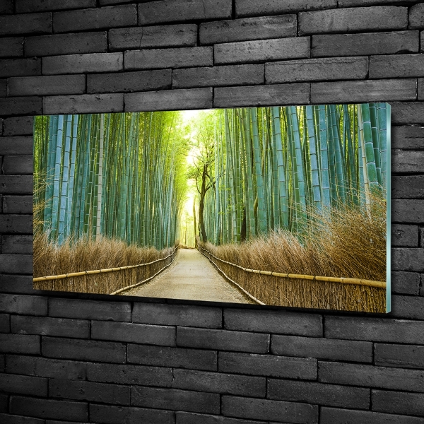 Glass picture wall art Bamboo forest