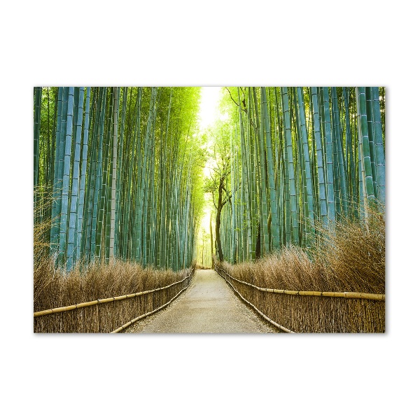 Glass picture wall art Bamboo forest