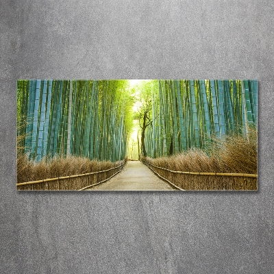 Glass picture wall art Bamboo forest