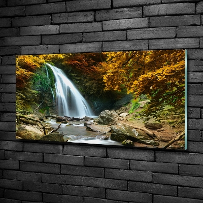 Printed glass wall art Waterfall in the forest