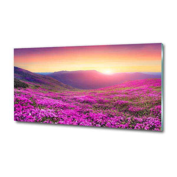 Glass picture wall art Pink hills