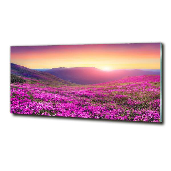 Glass picture wall art Pink hills