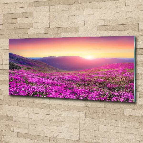 Glass picture wall art Pink hills