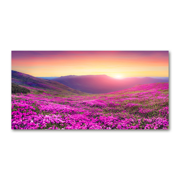 Glass picture wall art Pink hills