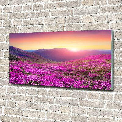 Glass picture wall art Pink hills