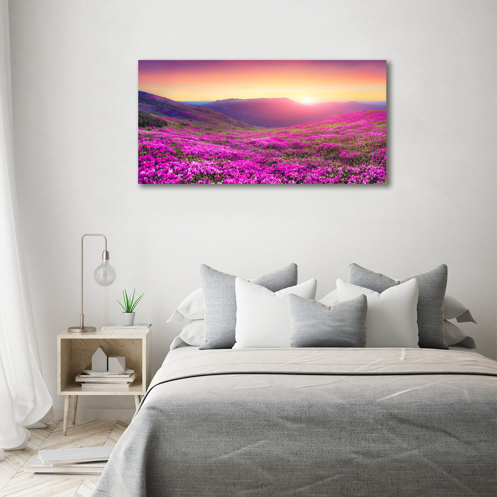 Glass picture wall art Pink hills