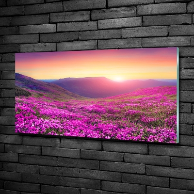 Glass picture wall art Pink hills