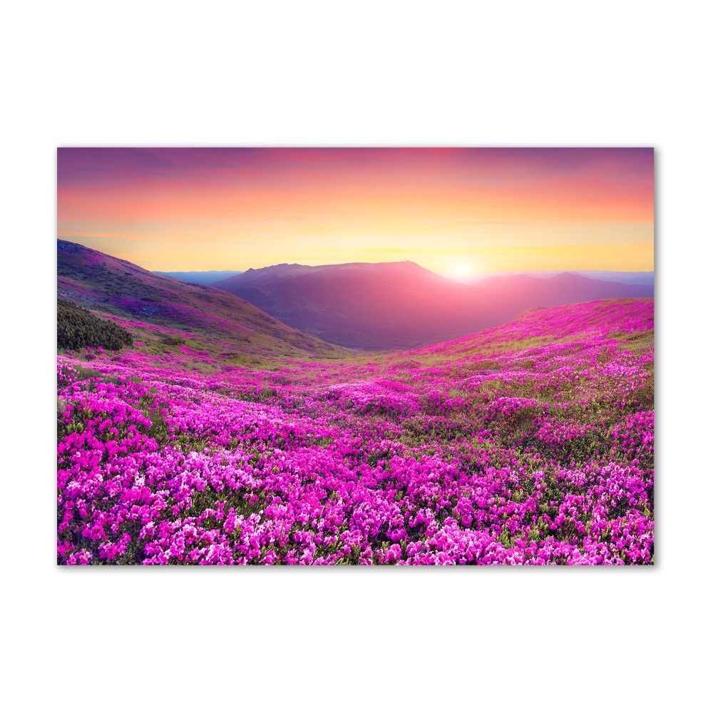 Glass picture wall art Pink hills