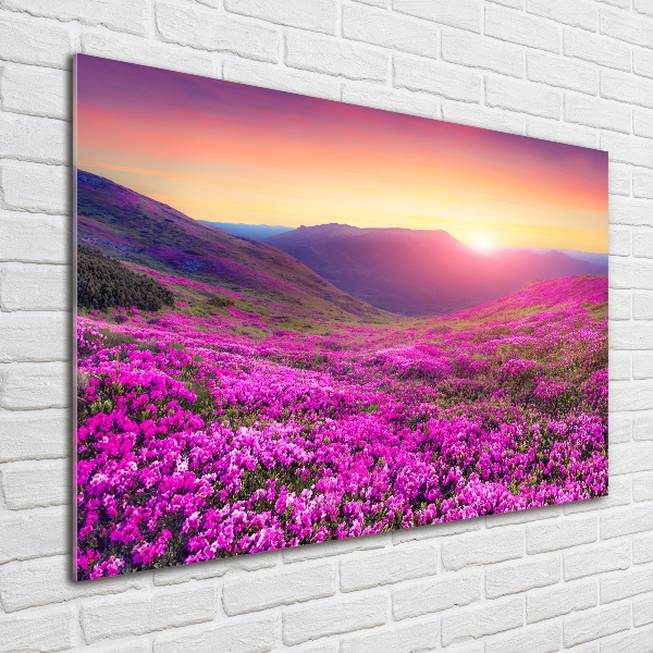 Glass picture wall art Pink hills