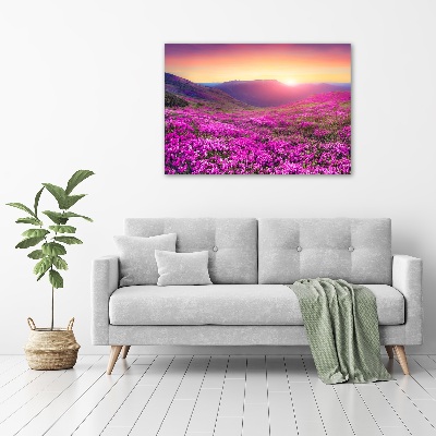 Glass picture wall art Pink hills