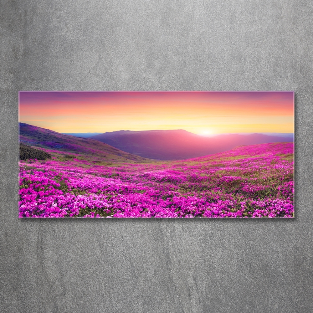 Glass picture wall art Pink hills