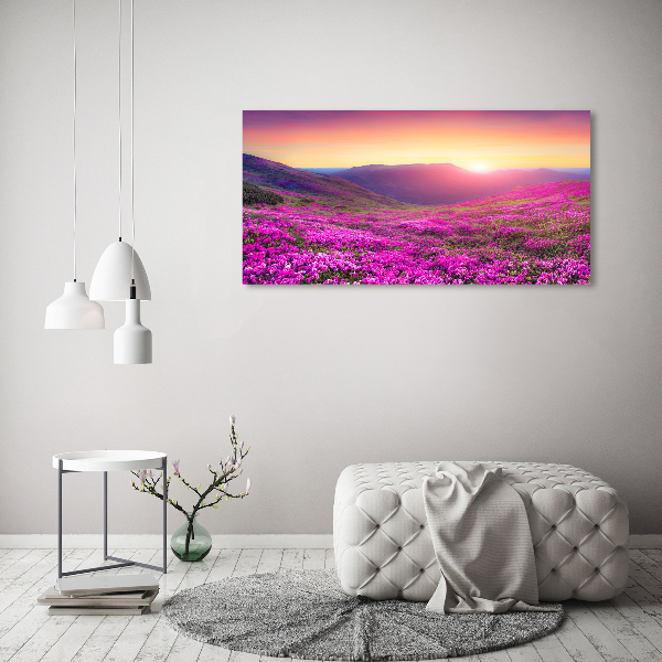 Glass picture wall art Pink hills