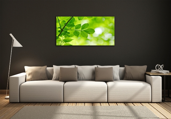 Photo printed on glass Green leaves