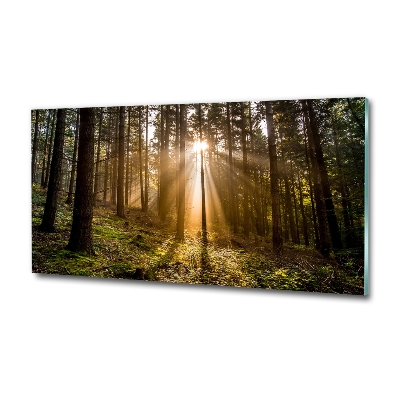 Photo printed on glass Sunlight