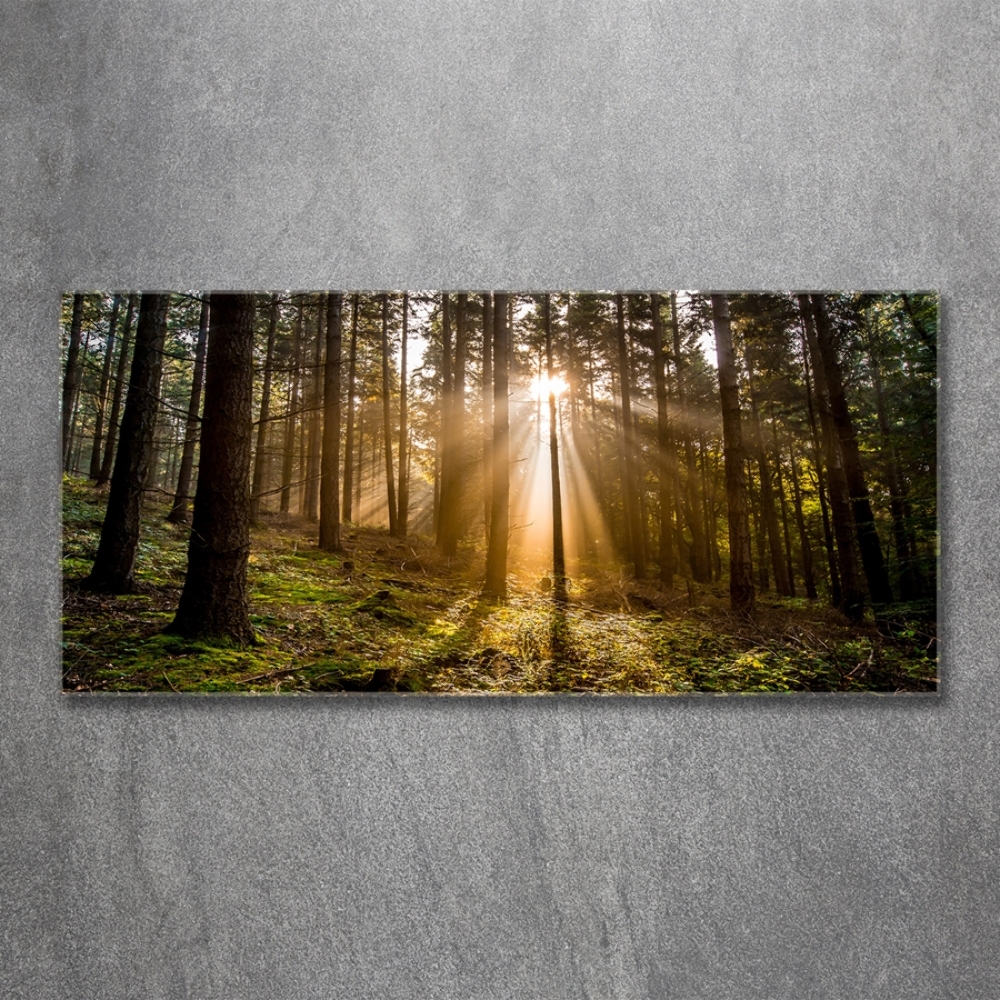 Photo printed on glass Sunlight