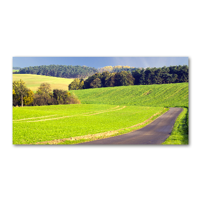 Glass picture wall art Dirt road