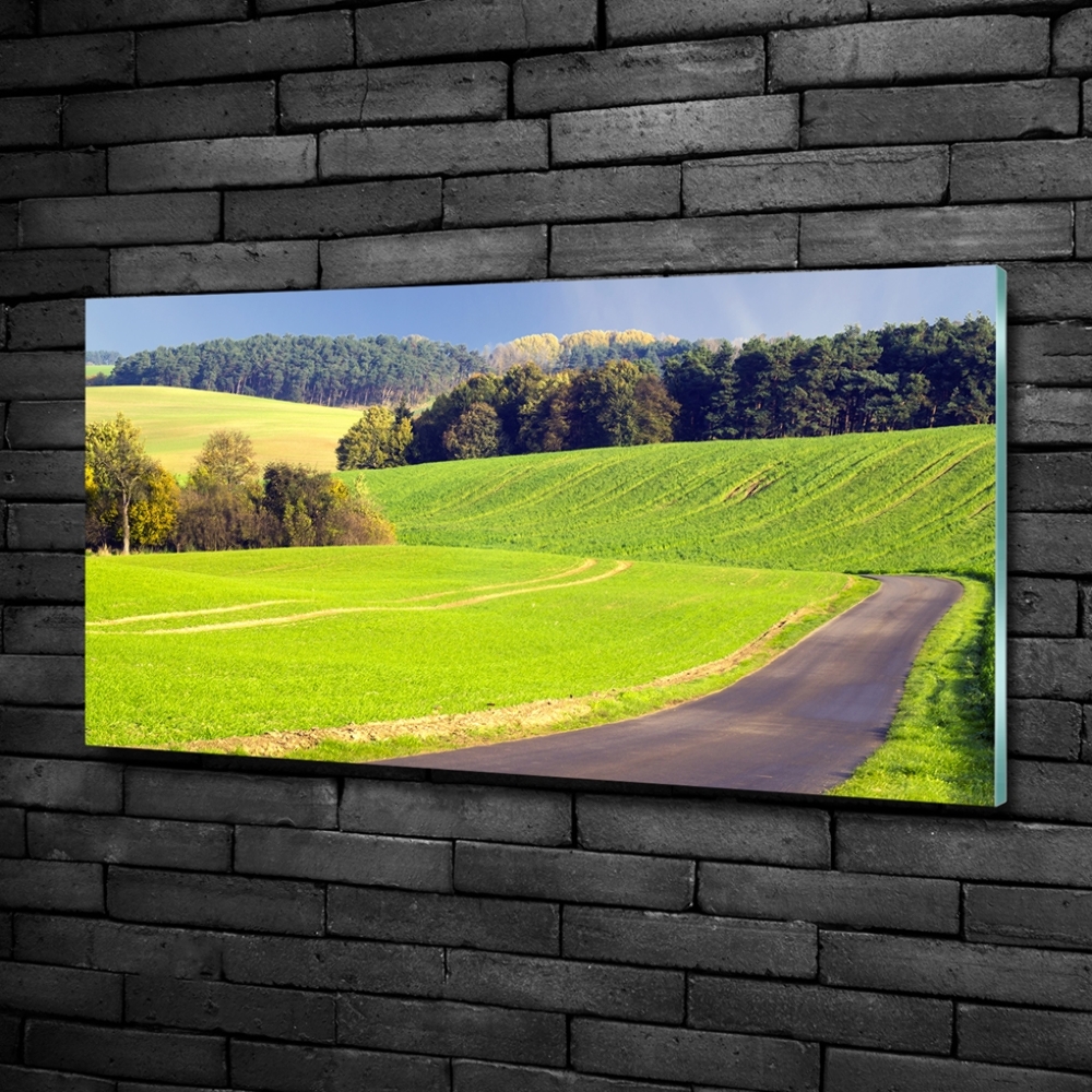 Glass picture wall art Dirt road