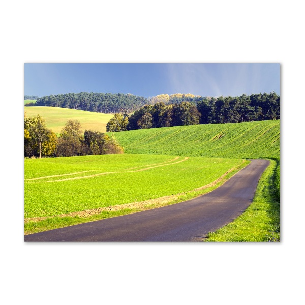 Glass picture wall art Dirt road