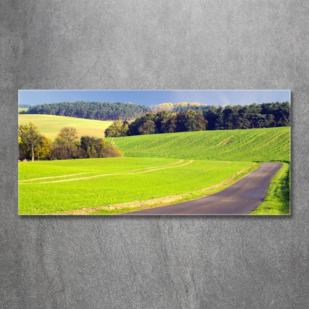 Glass picture wall art Dirt road