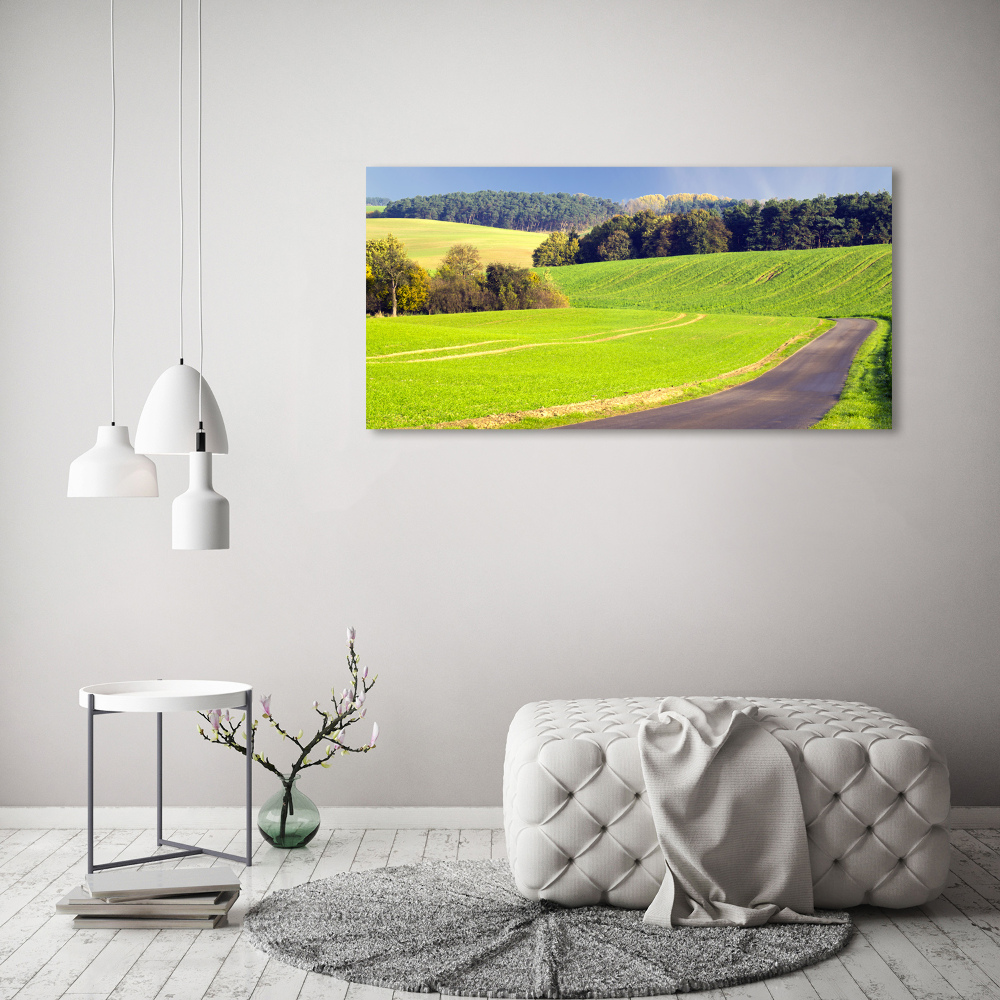 Glass picture wall art Dirt road