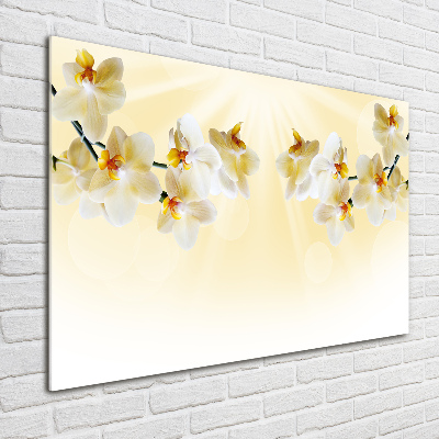 Photo printed on glass Orchid