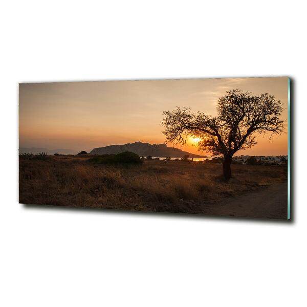 Printed glass wall art Sunset