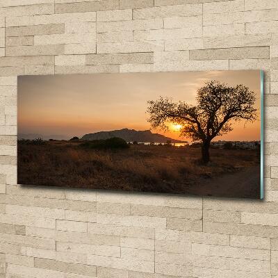 Printed glass wall art Sunset