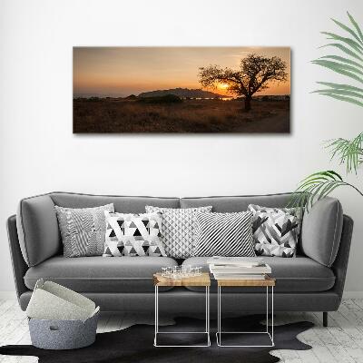 Printed glass wall art Sunset