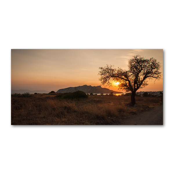 Printed glass wall art Sunset