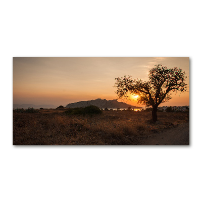 Printed glass wall art Sunset