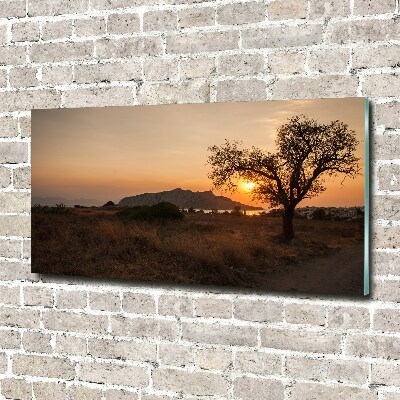 Printed glass wall art Sunset