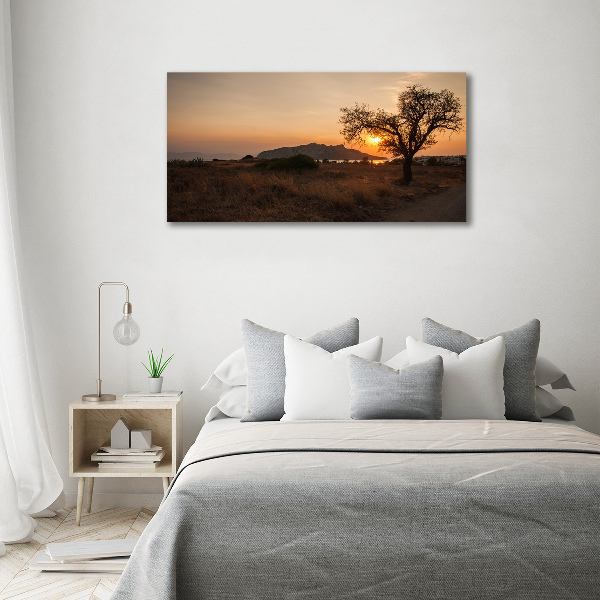 Printed glass wall art Sunset