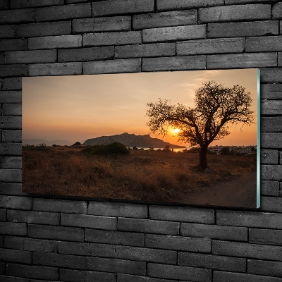 Printed glass wall art Sunset